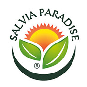 Salvia Paradise (na prodejně)