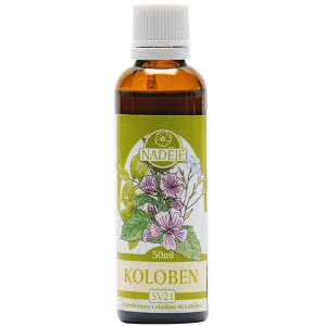 Koloben 50ml