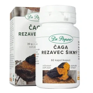 Dr. Popov Čaga-Rezavec šikmý (extrakt), 60 kapslí