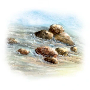 YaoMedica 048 - Odvalení kamenů 50 ml