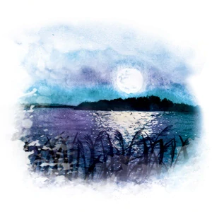 YaoMedica 074 - Klidná hladina 50ml