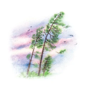 YaoMedica 091 - Vzedmutí větru 50ml