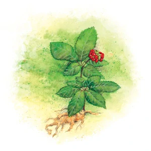 YaoMedica 103 - Pavšehoj  50ml