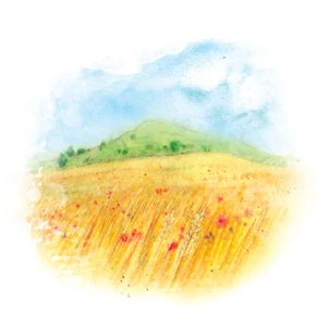 YaoMedica 106 - Moře klasů 50ml