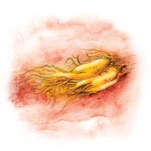 YaoMedica 027 - Ren Shen 50 ml