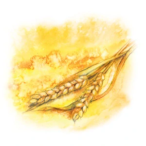 YaoMedica 040 - Pročištění sýpky 50 ml