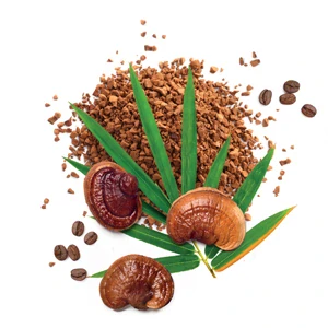 MycoLatte 315g